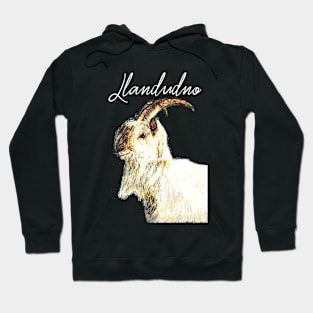 LLANDUDNO GREAT ORME GOAT WHITE Hoodie